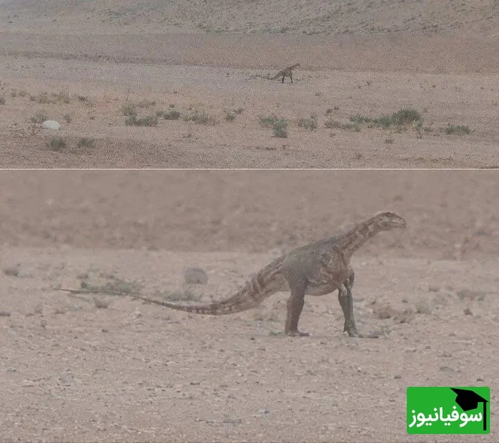دایناسور