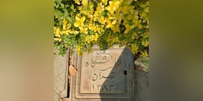 (ویدیو) قدم به قدم در دانشگاه تهران/ خوشبختی یعنی هر روز اینجا درس بخونی و رویاهاتو بسازی🤩