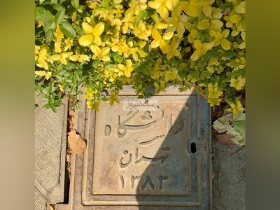 (ویدیو) قدم به قدم در دانشگاه تهران/ خوشبختی یعنی هر روز اینجا درس بخونی و رویاهاتو بسازی🤩