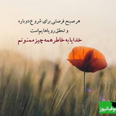 شکرگزاری صبحگاهی/ این 12 پیام شکرگزاری صبحگاهی، همان جملاتی هستند که می‌توانند روزتان را با آرامش و امید شروع کنند / شکرگزاری امروز 22 تیر 1405 + ویدئو