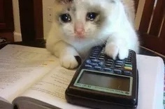 (ویدئو) وقتی درسارو تا شب امتحان می‌ذاری کنار و آخرش مجبور می‌شی این کارو بکنی!