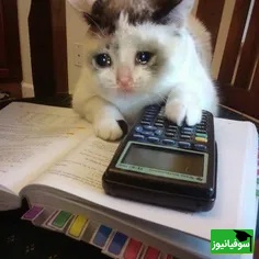 (ویدئو) وقتی درسارو تا شب امتحان می‌ذاری کنار و آخرش مجبور می‌شی این کارو بکنی!