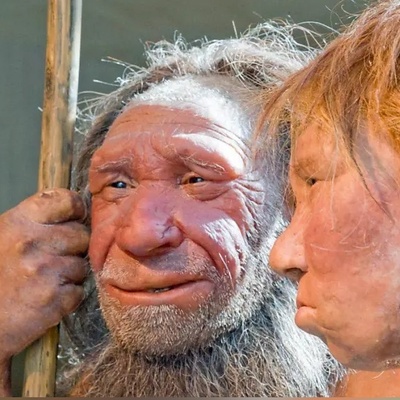 ویدئو/ رونمایی از بزرگ‌ترین کشف باستان‌شناسی تاریخ ایران؛ «غار قلعه کرد»، خانه 475 هزار ساله‌ انسان‌های نخستین با بقایای نئاندرتال‌ها و حیوانات غول‌پیکر منقرض‌شده