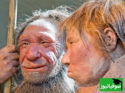 ویدئو/ رونمایی از بزرگ‌ترین کشف باستان‌شناسی تاریخ ایران؛ «غار قلعه کرد»، خانه 475 هزار ساله‌ انسان‌های نخستین با بقایای نئاندرتال‌ها و حیوانات غول‌پیکر منقرض‌شده