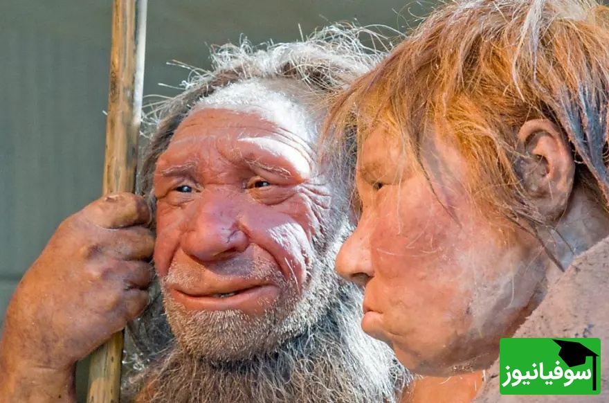 ویدئو/ رونمایی از بزرگ‌ترین کشف باستان‌شناسی تاریخ ایران؛ «غار قلعه کرد»، خانه 475 هزار ساله‌ انسان‌های نخستین با بقایای نئاندرتال‌ها و حیوانات غول‌پیکر منقرض‌شده