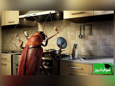 (ویدئو) ارتشی از ربات‌های سوسکی در ماموریت‌های سری شرکت می‌کنند!