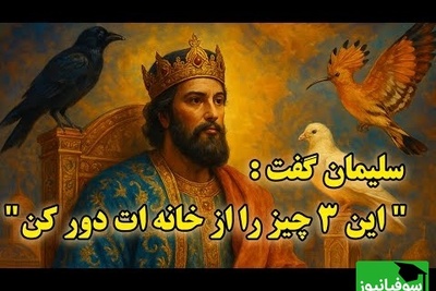 حکایتی کوتاه و شنیدنی از حضرت سلیمان که حتما باید بشنوید؛ راز 3 پرنده آسمانی / چگونه برکت از خانه ها پر می‌کشد؟