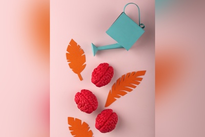 جلوگیری از زوال عقل با این مغزهای خوراکی!