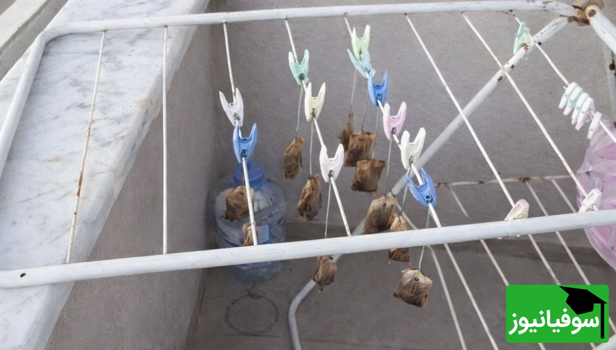 صرفه جویی در مصرف چای