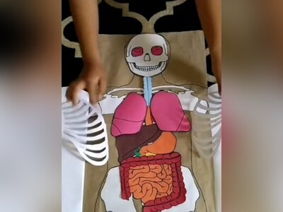 ویدیو/ جزوۀ پزشکی با قابلیت خبردهی از سر درون با جزئیات کامل/ عشق طراحش به علوم پزشکی رو میتونین از صفحاتی که ورق میخورن، ببینید