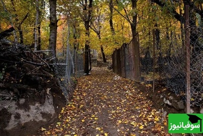 سفری لذت بخش به روستای ایگل یکی از زیباترین روستاهای نزدیک تهران/ خاطره های فراموش نشدنی منتظرته این فرصت رو از دست نده+ ویدئو