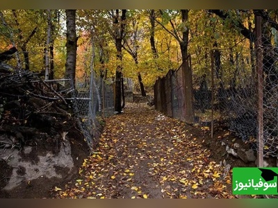 سفری لذت بخش به روستای ایگل یکی از زیباترین روستاهای نزدیک تهران/ خاطره های فراموش نشدنی منتظرته این فرصت رو از دست نده+ ویدئو