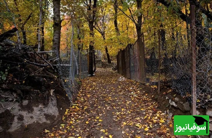 سفری لذت بخش به روستای ایگل یکی از زیباترین روستاهای نزدیک تهران/ خاطره های فراموش نشدنی منتظرته این فرصت رو از دست نده+ ویدئو
