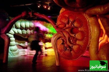 ساختمان با الهام از بدن انسان