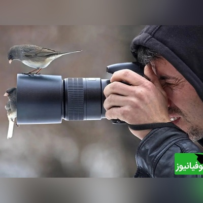 16 شاهکار عکاسی هوایی که حیات وحش را از زاویه‌ای باورنکردنی نشان می‌دهند + عکس