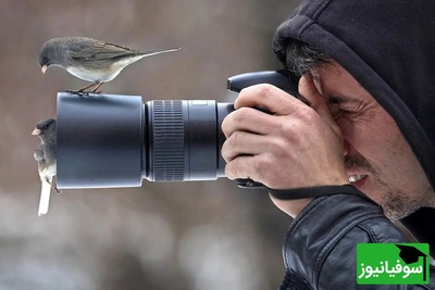16 شاهکار عکاسی هوایی که حیات وحش را از زاویه‌ای باورنکردنی نشان می‌دهند + عکس