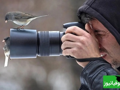 16 شاهکار عکاسی هوایی که حیات وحش را از زاویه‌ای باورنکردنی نشان می‌دهند + عکس