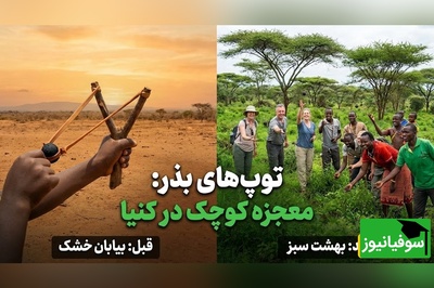 (ویدئو) از هواپیما تا دستِ بچه‌ها؛ توپ سیاهی در کنیا که بیابان را آرام‌آرام به جنگل سبز  تبدیل کرد