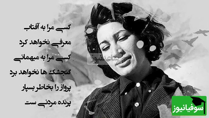 (ویدیو) شعرخوانی بینظیر و احساسی فروغ فرخزاد: سخن از دستان عاشق ماست/ که پلی از پیغام عطر و نور و نسیم بر فراز شبها ساخته‌اند