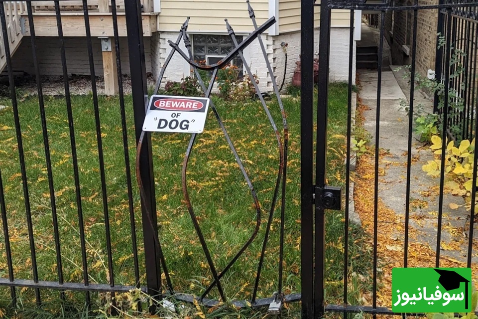  سگ نرده‌ای خمیده