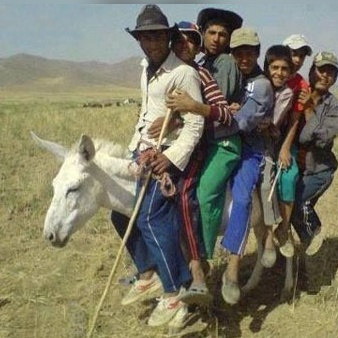 خلاقیت خنده‌دار چوپان ایرانی در حمل بار با اُلاغ حماسه ای غش آور آفرید/ مرد حسابی این چه کاریه آخه با حیوان بیچاره😂