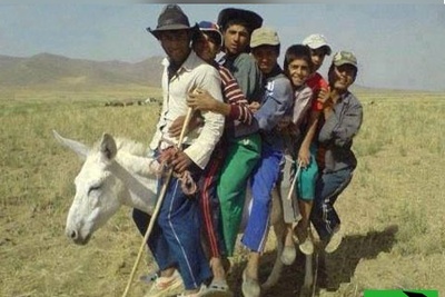 خلاقیت خنده‌دار چوپان ایرانی در حمل بار با اُلاغ حماسه ای غش آور آفرید/ مرد حسابی این چه کاریه آخه با حیوان بیچاره😂