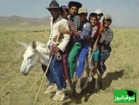 خلاقیت خنده‌دار چوپان ایرانی در حمل بار با اُلاغ حماسه ای غش آور آفرید/ مرد حسابی این چه کاریه آخه با حیوان بیچاره😂