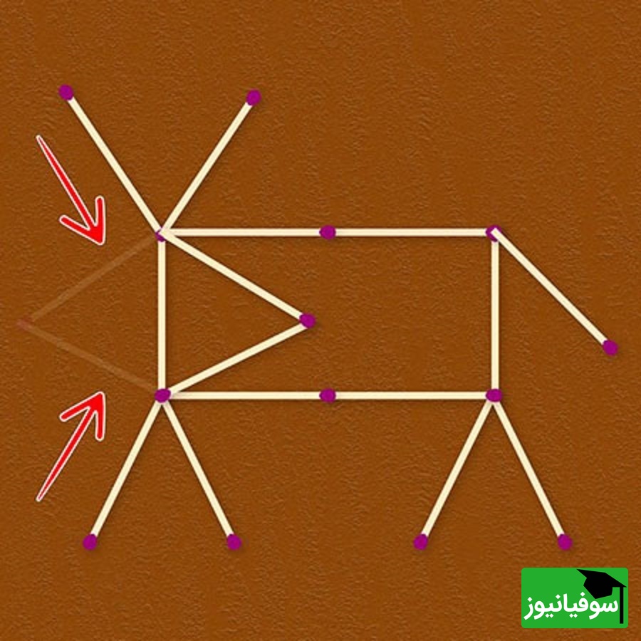 پاسخ