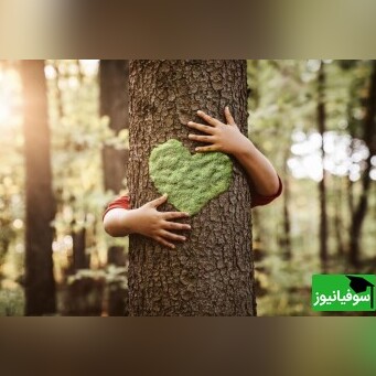 (ویدئو) جان‌بخشی به درختی خشکیده با دستان هنرمندان شیرازی