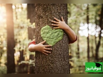 (ویدئو) جان‌بخشی به درختی خشکیده با دستان هنرمندان شیرازی