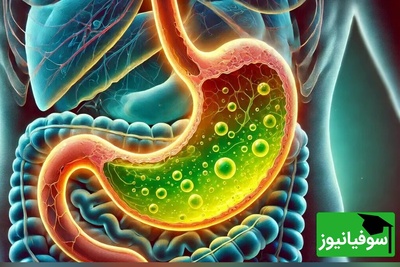 اینفوگرافیک | شناخت علائم هشداردهنده‌ی ریفلاکس معده/بررسی 6 نشانه‌ی شایع این عارضه‌ی گوارشی