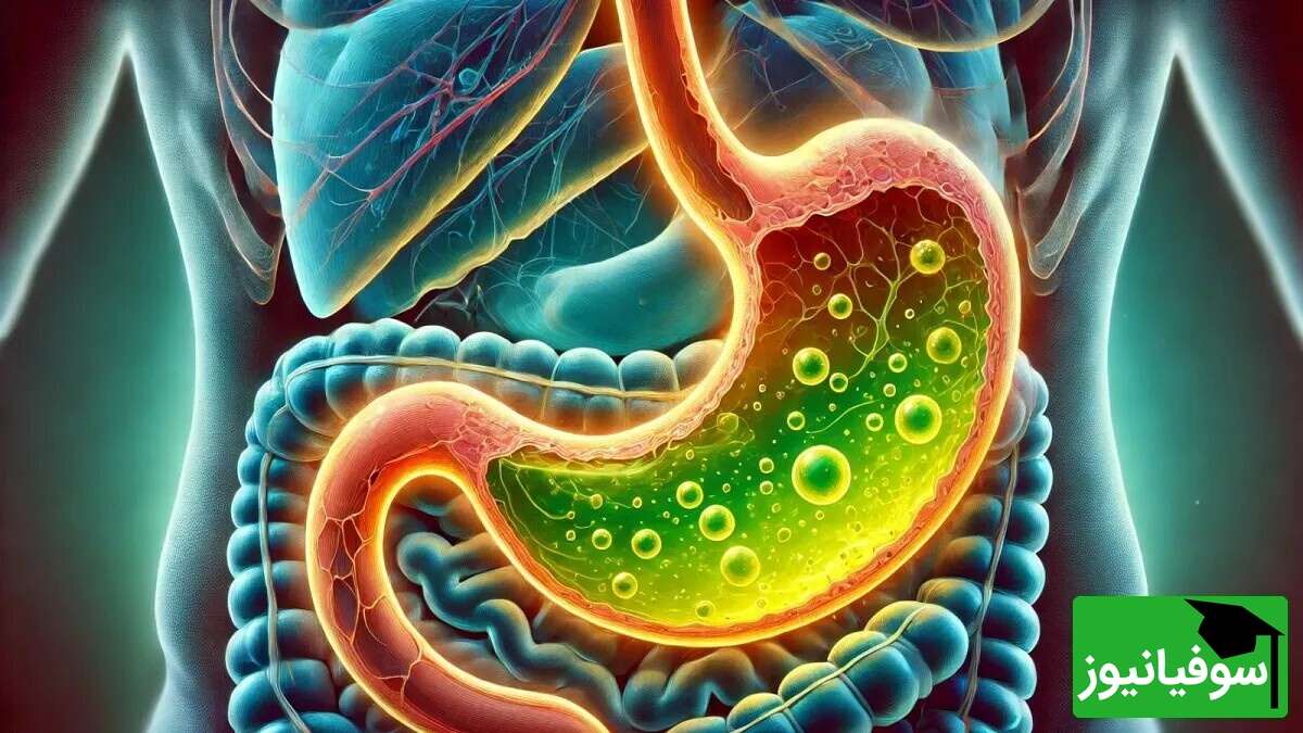 اینفوگرافیک | شناخت علائم هشداردهنده‌ی ریفلاکس معده/بررسی 6 نشانه‌ی شایع این عارضه‌ی گوارشی