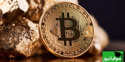 رالی بیت‌کوین ادامه دارد؛ قیمت به مرز 80 هزار دلار رسید