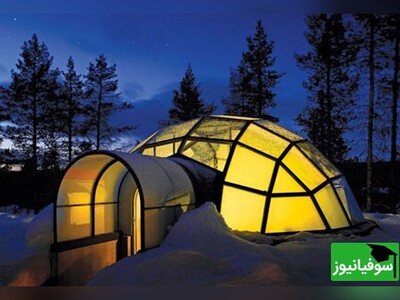 ویدیو/ خلاقیت حیرت‌انگیز در ساخت کلبۀ جنگلی با چوب درخت بامبو با طرح کلبه‌های اسکیمویی/ سقف سانروف هم گذاشته برای تماشای مهتاب