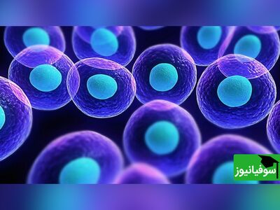 (ویدیو) شبیه سازی سلول های بدن با هوش مصنوعی
/من خودم عاشق سلول چربی شدم😍