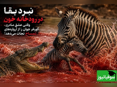ویدیو | اشک و وحشت در رودخانه مرگ؛ لحظه‌ای که مادر فداکار، بچه‌گورخرش را از دهان تمساح بیرون کشید!