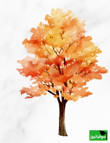 درخت پاییزی