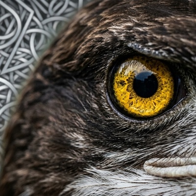 فقط نابغه‌ها در 8 ثانیه «حلقه گمشده» را پیدا می‌کنند! شما می‌توانید؟