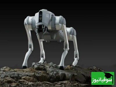 (ویدئو) سگ‌های رباتیک Unitree Go2؛ ترکیبی قدرتمند از هوش مصنوعی و مهندسی مکانیک
