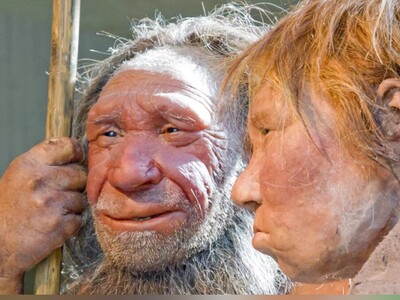 ویدئو/ بزرگ‌ترین کشف باستان‌شناسی تاریخ ایران؛ «غار قلعه کرد»، خانه 475 هزار ساله‌ انسان‌های نخستین با بقایای نئاندرتال‌ها و حیوانات غول‌پیکر منقرض‌شده