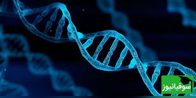 (ویدئو) DNA خود را با مواد ساده در آشپزخانه استخراج کنید!