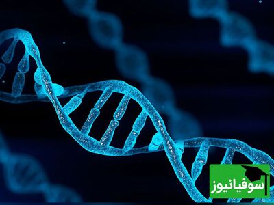 (ویدئو) DNA خود را با مواد ساده در آشپزخانه استخراج کنید!