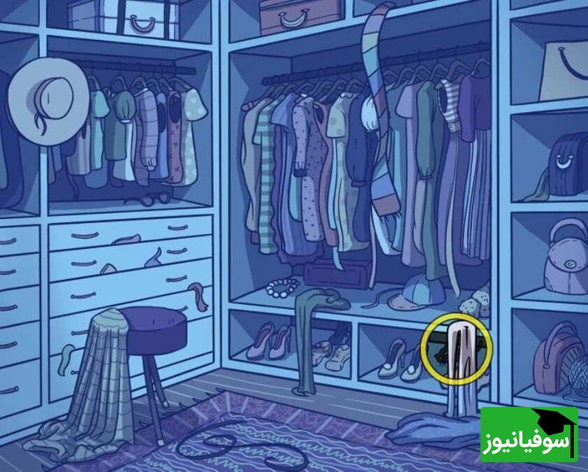 پاسخ تست هوش