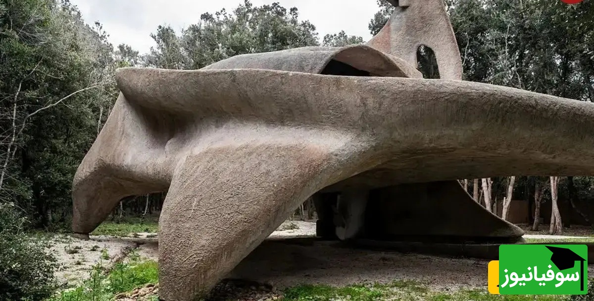 نگاهی خیره کننده به معماری خانه خانه‌ای که شبیه نهنگ است؛ شاهکار معماری آوانگارد + عکس