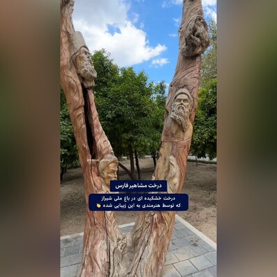 (ویدئو) درخت خشکیدۀ مشاهیر فارس دوباره جان گرفت!/ معجزۀ بی‌نظیر هنر را ببینید