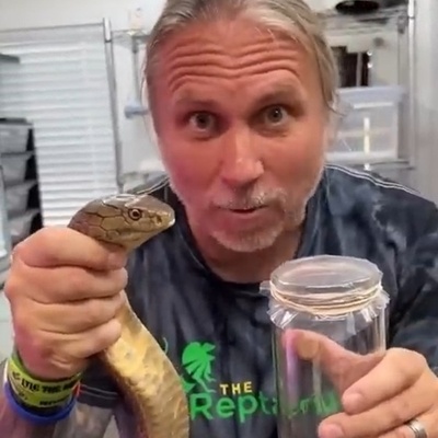 فیلم/ نگاهی نزدیک به یکی از حیاتی‌ترین فرایندهای پزشکی جهان/ اگه نمیدونی زهر مار رو چطوری می‌گیرند این ویدئو رو حتما ببین