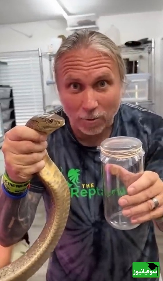 فیلم/ نگاهی نزدیک به یکی از حیاتی‌ترین فرایندهای پزشکی جهان/ اگه نمیدونی زهر مار رو چطوری می‌گیرند این ویدئو رو حتما ببین