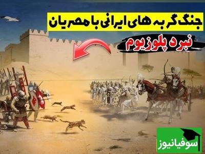 نبرد پلوزیوم؛ وقتی گربه‌های ایرانی سرنوشت یک جنگ را تغییر دادند