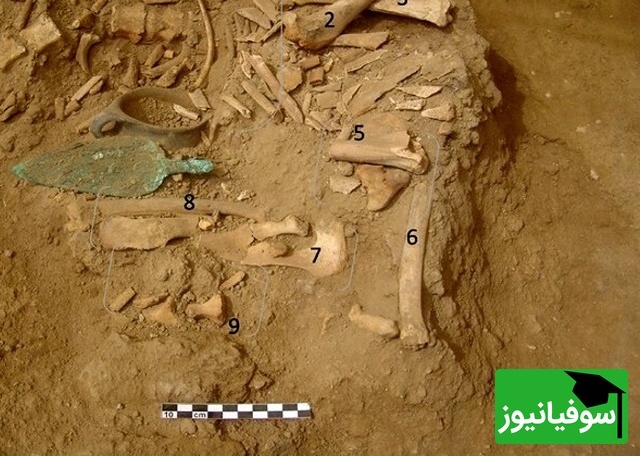 راز کتیبۀ 1500 ساله روی استخواندان باستانی فاش شد