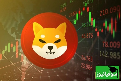 هشدار جدی برای سرمایه‌گذاران خرد شیبا اینو (SHIB)